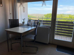Harzlichblick Ferienwohnung
